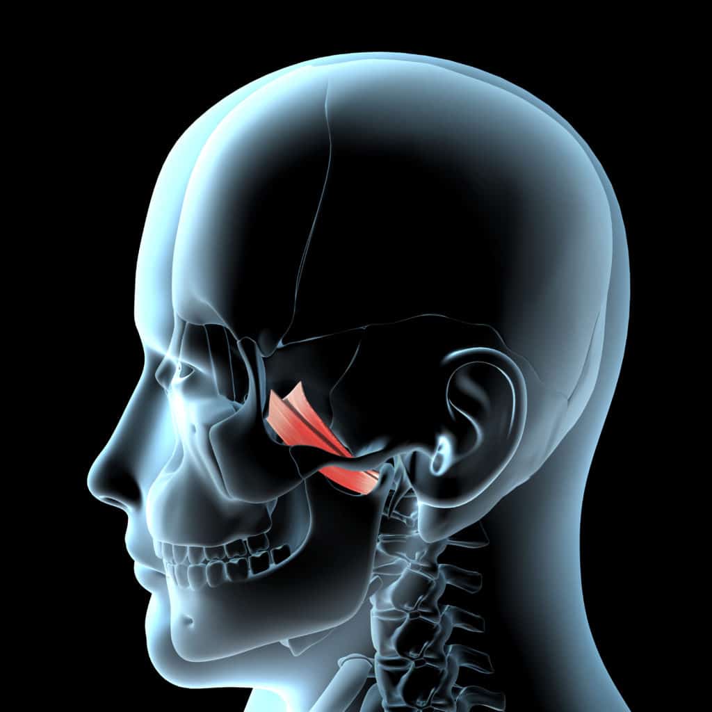 laterale pterygoide spier tmj